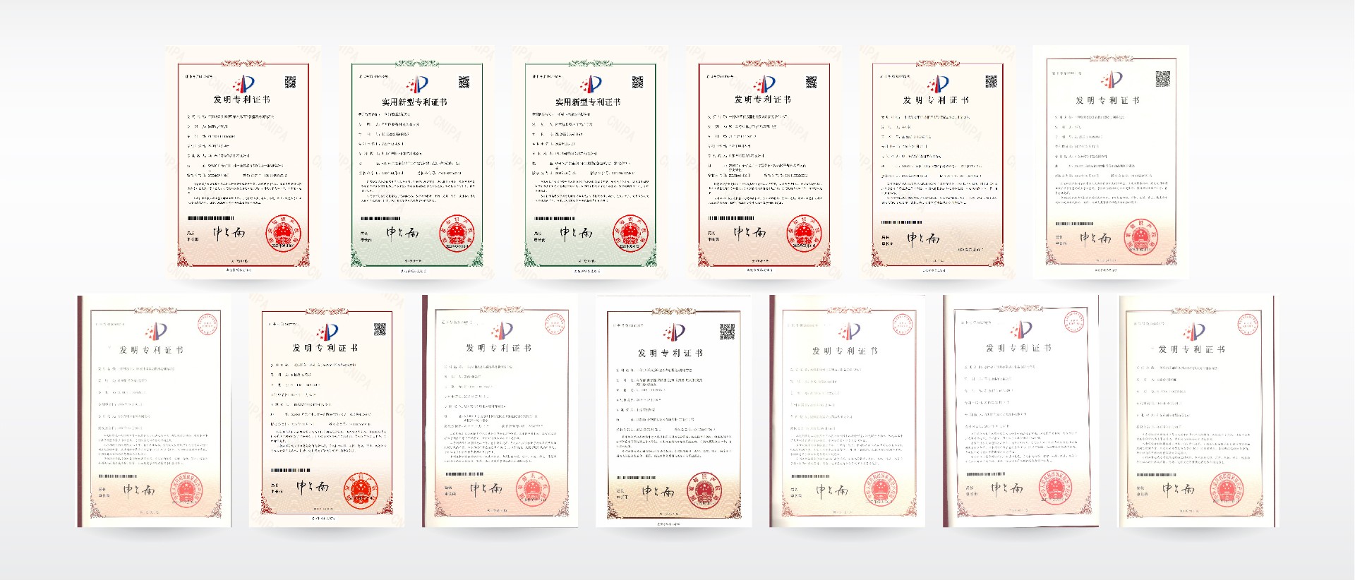 1765248921174869.jpg 8e26d387-8672-4d23-bc92-230f95cf32a7.jpg